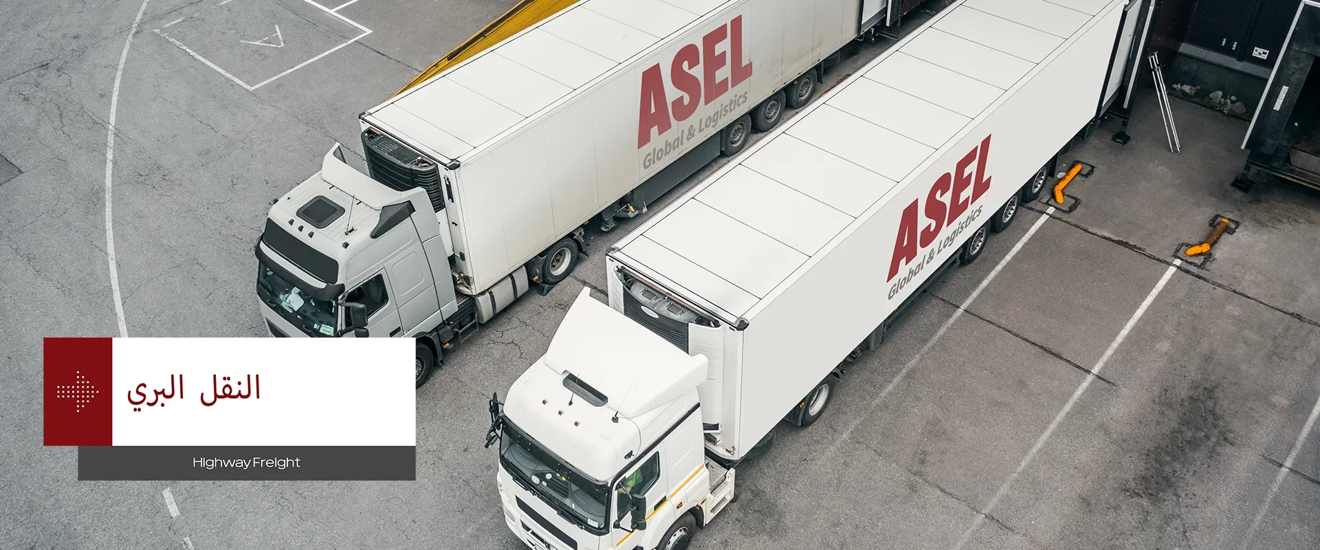 شاحنتان تحملان علامة Asel Global تمثلان النقل البري.